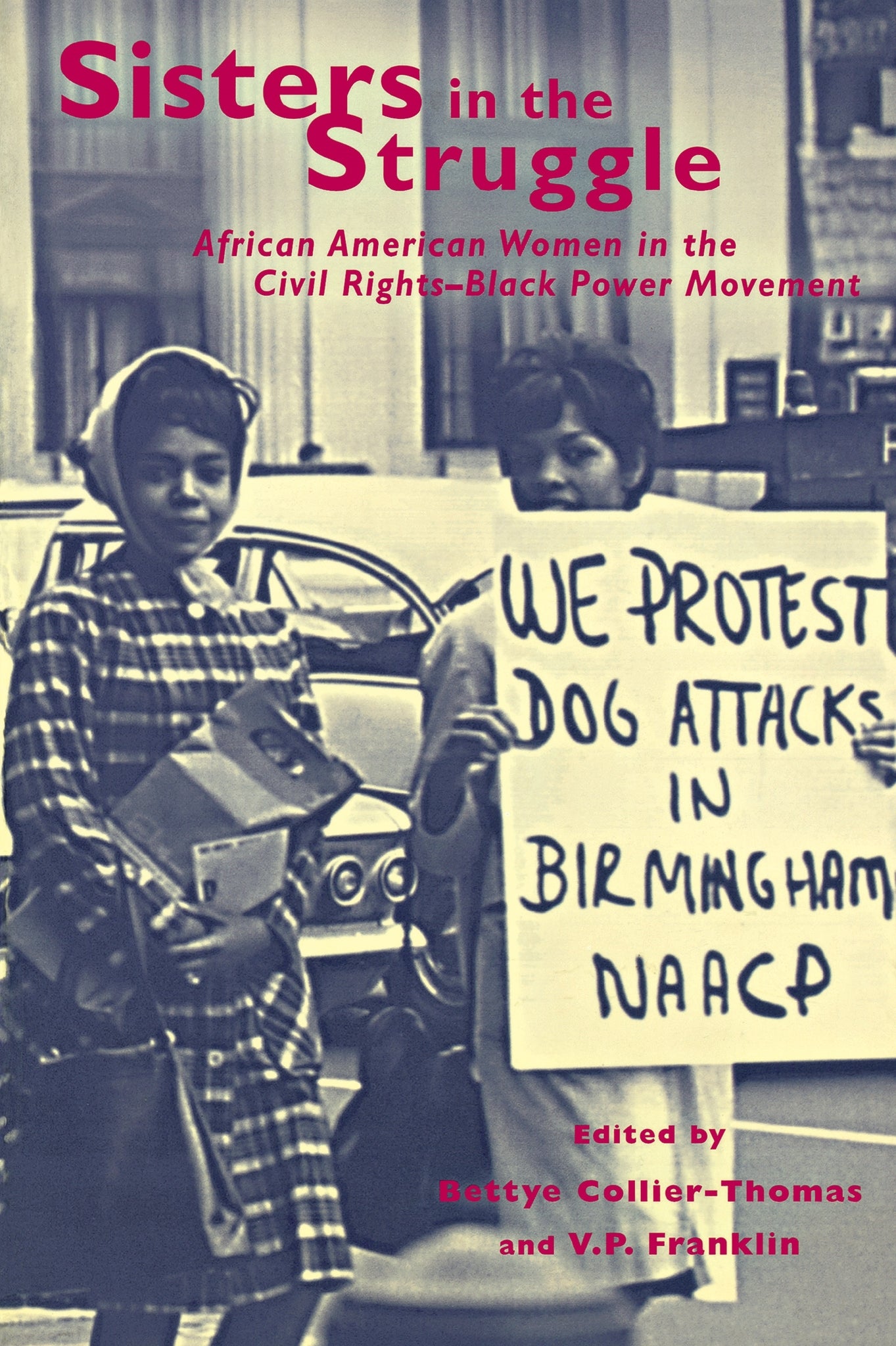 Cover image for Sisters in the Struggle ISBN 9780814772348